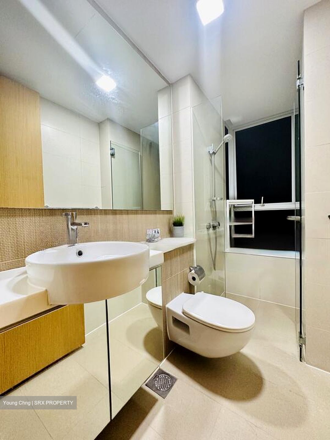 The Regency At Tiong Bahru (D3), Condominium #464158521